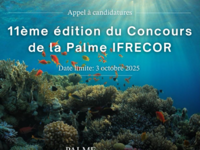 Palme