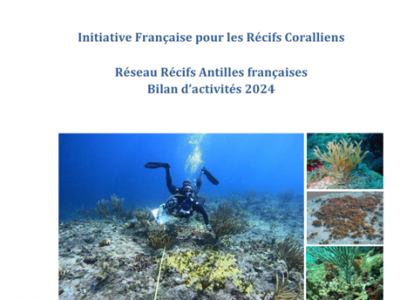 Reso RC Antilles 2024