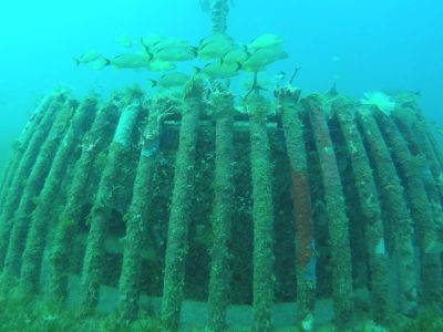 eco-designed-mooring-system-in-caribbean-coral-ecosystem-deshaies-france-pioch-