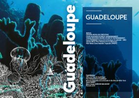 eds-2020-gaudeloupe