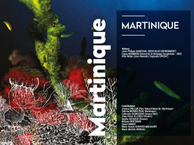 eds-2020-martinique