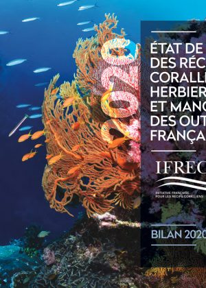 État de santé des récifs coralliens  / Bilan 2020